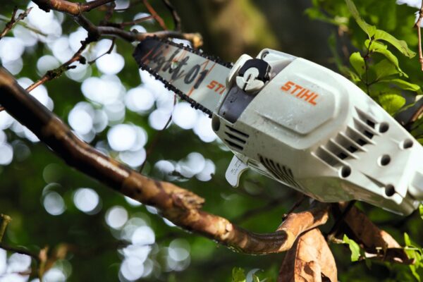 Podadora de altura STIHL - HTA 86 - Imagen 3