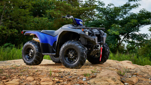 Yamaha -Kodiak 450 EPS SE - Imagen 3